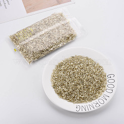 Никелированный стеклянные бусины стеклярус SEED-S046-01B-22