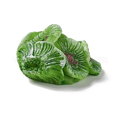 Украшения из искусственного коралла из смолы&nbsp;DJEW-G026-10B