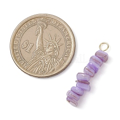 10 шт. подвески из натуральных ракушек пресноводных PALLOY-JF04517-01