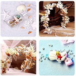 Натуральные спиральные бусы из ракушек SSHEL-PH0002-09