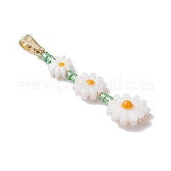 Подвески из натуральной пресноводной эмали&nbsp;PALLOY-JF03481-01