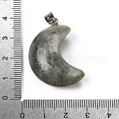 Природные подвески лабрадорита&nbsp;G-F820-02C