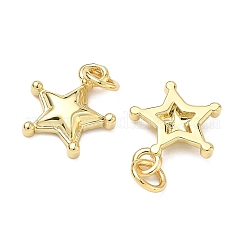 Латунь подвески&nbsp;KK-P345-10G