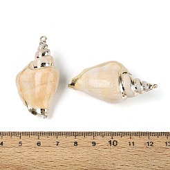 Подвески из натуральной спиральной раковины с гальваническим покрытием&nbsp;SSHEL-N042-12