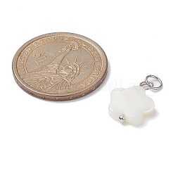 12 шт. PALLOY-JF02079