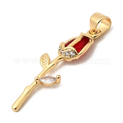 Pendenti in ottone con zirconi cubici&nbsp;KK-A296-50G-04