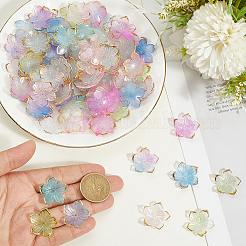 180шт 6 цвета прозрачные акриловые колпачки для бусин&nbsp;TACR-PA0001-08