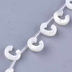 シーシェルビーズ  トップドリルビーズ  文字L  文字.c  10x8x3mm  穴：0.8mm&nbsp;X-SHEL-T012-60C