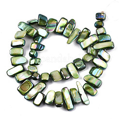 Naturali di acqua dolce perline shell fili&nbsp;SHEL-N026-123E
