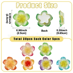 Кабошоны из смолы 30шт 6 цветов&nbsp;RESI-YW0005-98