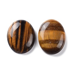 Natürliche gelbe Cabochons mit engen Augen&nbsp;G-H231-22