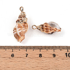 Подвески из натуральной морской раковины&nbsp;SSHEL-N038-45