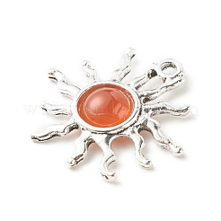 Природных драгоценных камней подвески PALLOY-JF01354