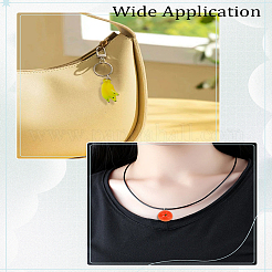 20 шт. подвески из смолы и акрила 10 стилей&nbsp;CRES-LP0001-11