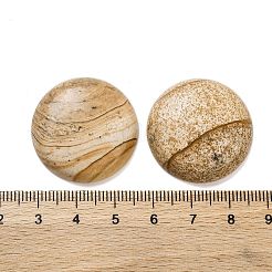 Natur Bildjaspisses cabochons&nbsp;G-B085-02A-07