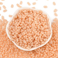 Выпечка краска стеклянные бусины&nbsp;SEED-L011-09A-12