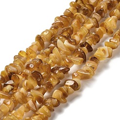 Perline ambra naturale fili&nbsp;G-L095-N01-01