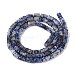 Perles de jaspe tache bleue naturelle&nbsp;GG-N002-01A-25