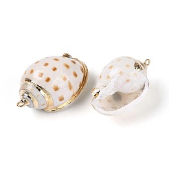 Подвески из натуральной спиральной раковины с гальваническим покрытием&nbsp;SSHEL-N042-13