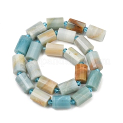 Натуральный цветок амазонитовые бусины пряди&nbsp;G-G453-E05-10x14mm