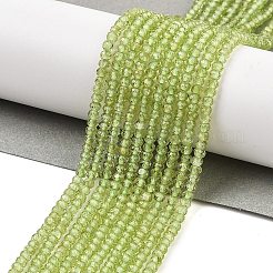 Peridoto natural hebras de cuentas&nbsp;G-ONLY-T-B07-01A