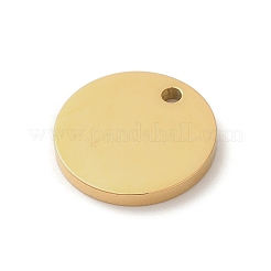 Pendentifs en acier inoxydable 304 avec placage ionique (IP)&nbsp;STAS-K270-33G
