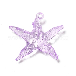 Прозрачные акриловые подвески TACR-P003-05