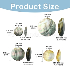 6 шт. черные подвески-ракушки для губ&nbsp;SSHEL-YW0001-13A