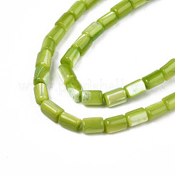 Fili di perle di conchiglia trochid naturale / trochus&nbsp;SHEL-N003-26-B07