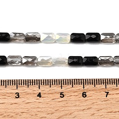 Стеклянные бусины с гальваническим покрытием  X-EGLA-D300-05-02