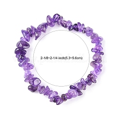 Аметист чипов растянуть браслеты BJEW-JB01308-03