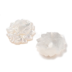 Резные кабошоны из натуральной белой ракушки SSHEL-I026-22B