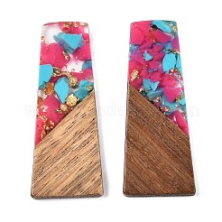 Подвески из непрозрачной смолы и ореха RESI-T058-04I