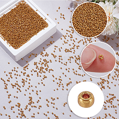 Perle di semi di vetro 100g&nbsp;SEED-SP0001-12A-01