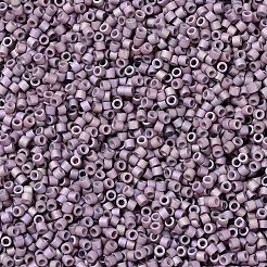 Miyuki Delica Perlen&nbsp;X-SEED-J020-DB1064