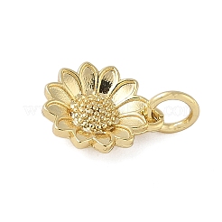 Латунные подвески&nbsp;KK-L245-13G