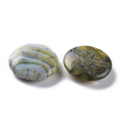 天然ブラジル瑪瑙ビーズ  穴なし/ドリルなし  フラットラウンド  24.6x7.7mm&nbsp;G-H231-17