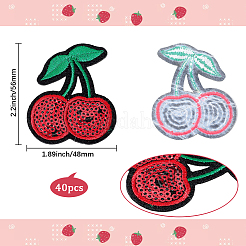 40 шт. компьютерная вышивка на тканевых заплатках с утюгом PATC-CY0001-21