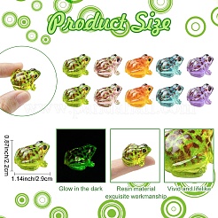 Ornements de scène de micro-paysage en résine lumineuse en forme de grenouille&nbsp;DIY-YWC0009-03A