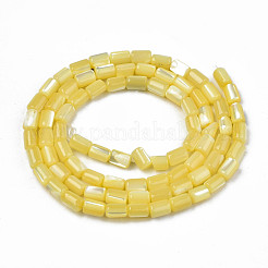 Fili di perle di conchiglia trochid naturale / trochus&nbsp;SHEL-N003-26-B10