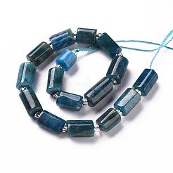 Природного апатита нитей бисера G-S345-8x11-003