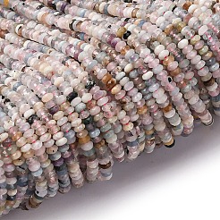 Природные морганит нитей бисера G-RM2025-D12-C