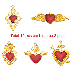 10шт 5 стиля подвески из сплава с эмалью&nbsp;ENAM-FP0001-93