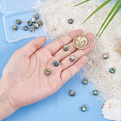 20 шт. плоские круглые подвески из натуральной ракушки&nbsp;PALLOY-BC00006