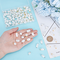 120 шт. 2 цвета 10 стиля АБС пластик имитация жемчуга подвески&nbsp;PALLOY-AR00022