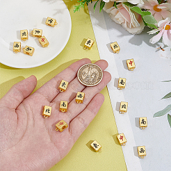 20шт 5 стиля бусины из сплава&nbsp;FIND-NB0006-65