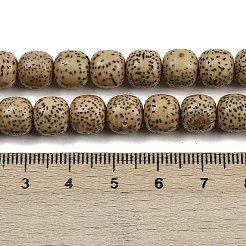 Натуральные бусины из семян рудракши бодхи WOOD-B010-A03-8x9mm