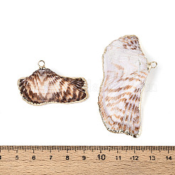 Большие подвески из натуральной морской ракушки с золотистой латунной окантовкой и железными петлями BSHE-T014-21