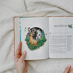 ПВХ сакура штамп DIY-WH0486-052