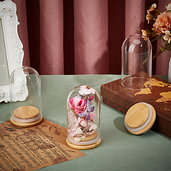 Стеклянный купол AJEW-WH0609-090